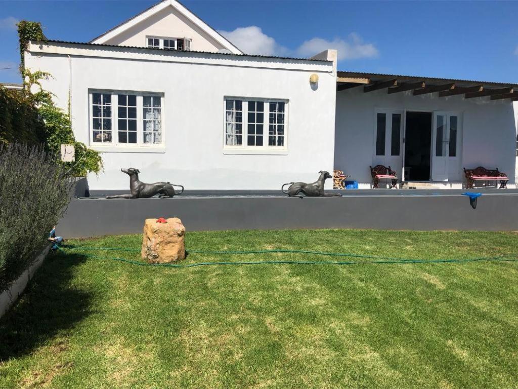 De La Fontaine Guest Cottage And Pool View Luxury Suite Plettenberg Bay Exterior foto
